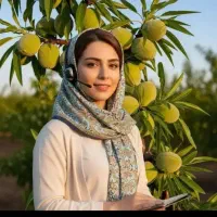 فروش نهال هلو شلیل فندق سنجد بیدمجنون بادام گلدانی