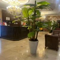 پذیرش هتل باحداقل یکسال سابقه