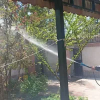 باغبانی سمپاشی هرس کاری سم پاشی گل درخت تمام نقاط