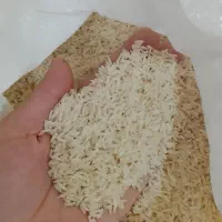 برنج هاشمی درجه یک