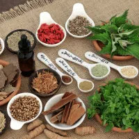 مکمل گیاهی مناسب برای بدنسازی و افزایش حجم
