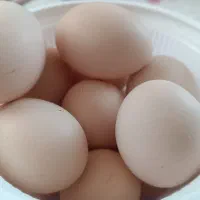کره گاوی 850 وتخم مرغ محلی 20تومان