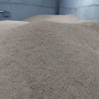 گندم و جو دیم بذری