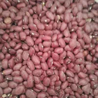 لوبیا قرمز و لوبیا سفید و لوبیا چیتی بومی درجه یک