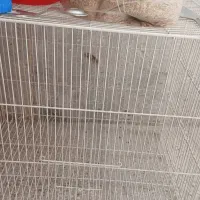 قفس پرنده بزرگ با کمی ارزن