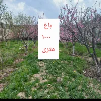 باغ میوه ۱۰۰۰ متر