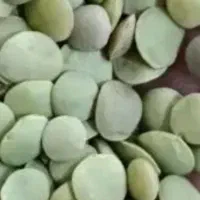 عدس دیم به شرط ۱۰ دیقیه ای می پزه