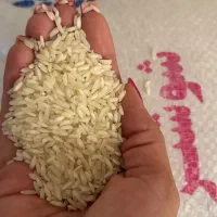 برنج طارم هاشمی و برنج عنبربو درجه یک