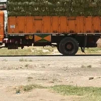 بیده فروشی