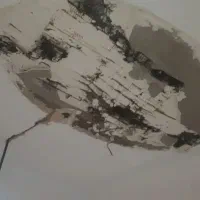 گچکاری.فقط لکه گیری،تعمیر زیرکار برا کاغذ دیواری.