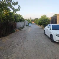 360-متر-باغچه-مستقل-سندتکبرگ-آماده-چسب-بافت