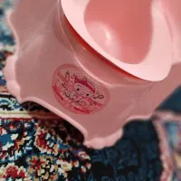 دشویی فرنگی کودکان نو