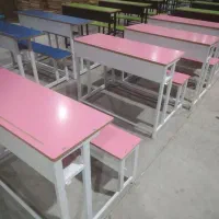 خانم حسینی × رنگ طوسی صورتی