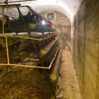 قفس مرغ تخمگذارخیمه ای۸تایی