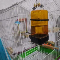 قفس  متوسط سفیدرنگ محکم در حد نو