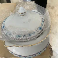 سرویس چینی ۱۲ نفره زرین سپیدار (۱۰۱ پارچه) آکبند