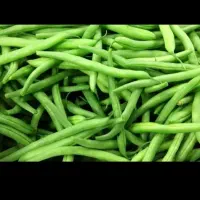 لوبیاسبز