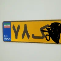 پلاک پیداشده
