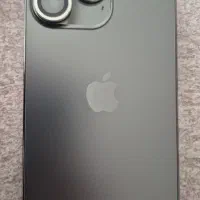 13pro