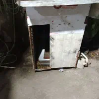 لانه سگ|لوازم جانبی حیوانات|رشت, پیرکلاچای|دیوار