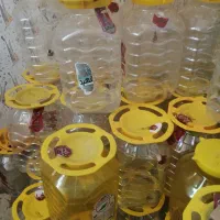 تعداد دبه سر فمونی به فروش میرسد