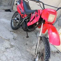 تریل مزایده