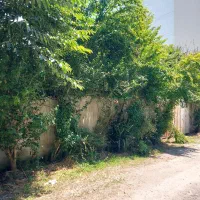 معرفی-زمین-مناطق-دهنو-دریاسر-مدرس-دهخدا-کریمی