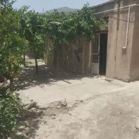 زمین مسکونی در سیرچ