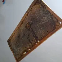 عسل ارگانیک فریدن