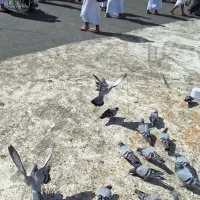 لباسشویی دوقلو