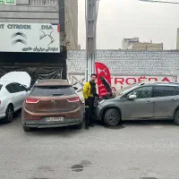 تعمیرگاه تخصصی ds