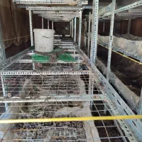 فروش فوری قفسه پر ورش قارچ