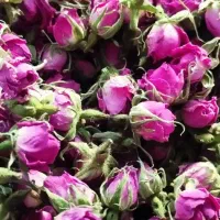 غنچه گل محمدی خشک شده امسالی