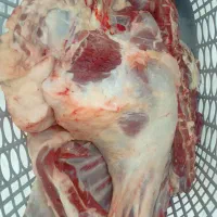 بسیار تازه کشتار امروز