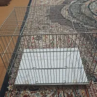 قفس پرنده تمیز