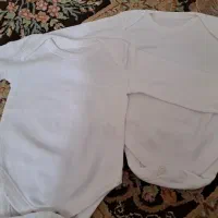 دو عدد بادی اصل پنبه نو