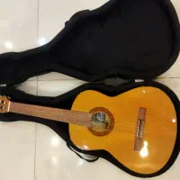 گیتار کورت20