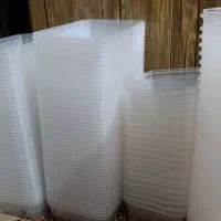 ظروف نظم دهنده