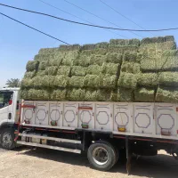 یونجه خشک بسته بندی انبار سوسنگرد
