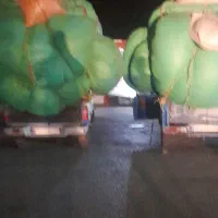 فروش کاه گندم تحویلی