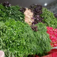 نیروی متعهد ونوجوان