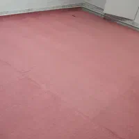 تعدادی موکت