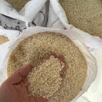 مژده مژده تخفیف ۱۰ درصدی