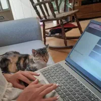 آموزش طراحی سایت به صورت پروژه محور
