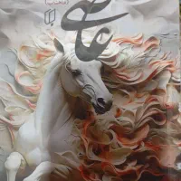 کتاب|کتاب و مجله تاریخی|سیرجان, |دیوار