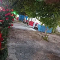 کافه ژوان