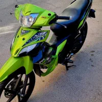 Tvs1395