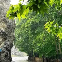 بریم سفر