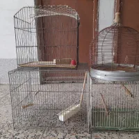 قفس پرنده وقفس تُرقه