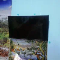 تلویزیون 43 star